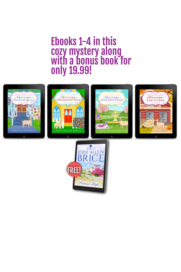 Cozy Mystery Bundle - Four Cozy Mysteries with Promise Kept